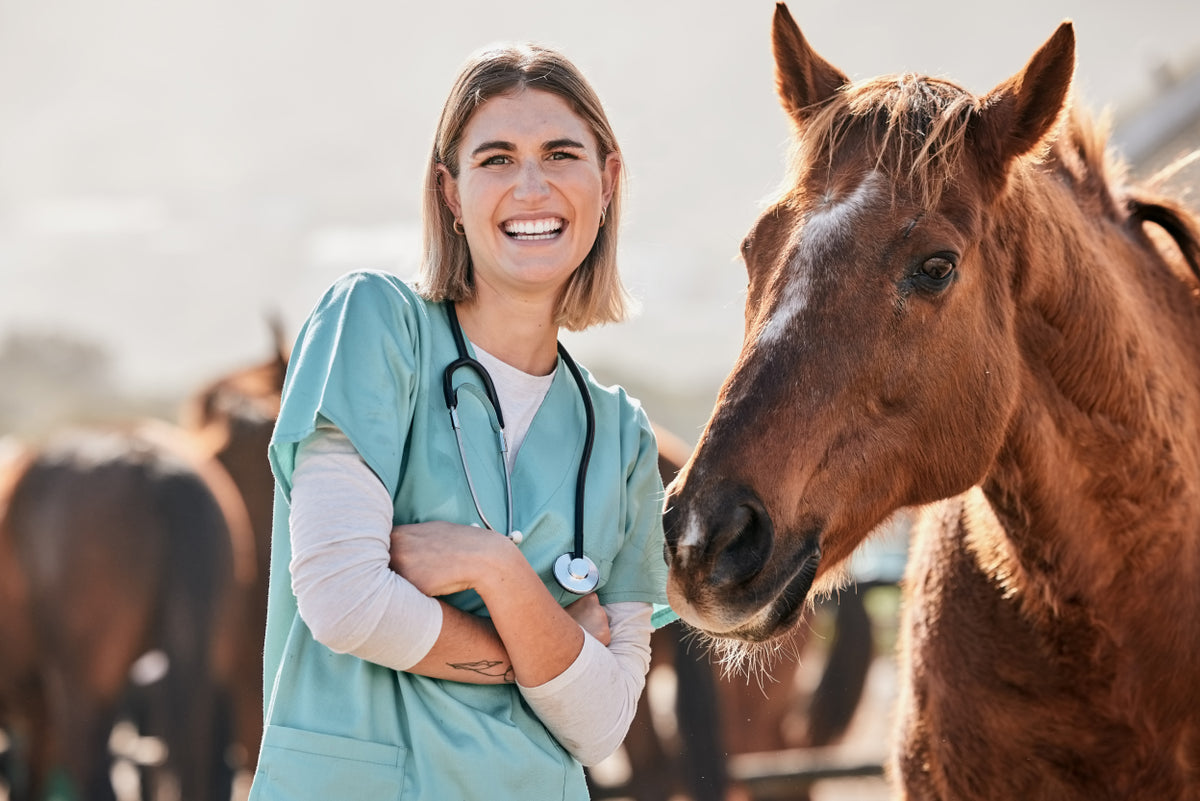 Gesundheitscheck: Wann macht ein Blutbild bei deinem Pferd Sinn?