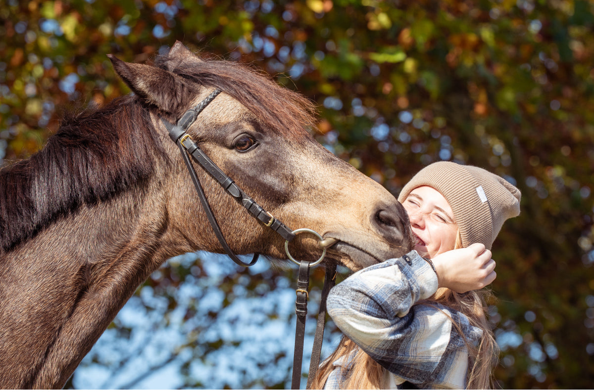 Shivering beim Pferd: Was du wissen solltest